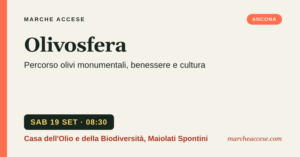 Olivosfera | percorso olivi monumentali, benessere e cultura, sabato 19 settembre 2026, Casa dell'Olio e della Biodiversità, Maiolati Spontini