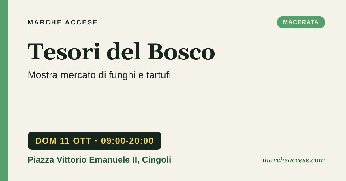 Tesori del Bosco | mostra mercato di funghi e tartufi, domenica 11 ottobre 2026, Piazza Vittorio Emanuele II, Cingoli